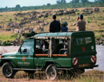 Description: mara_sm