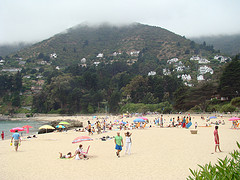 Description: http://farm4.static.flickr.com/3260/3212604111_044852d485_m.jpg