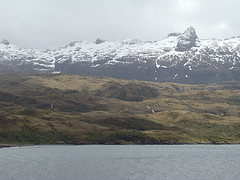 Description: http://farm4.static.flickr.com/3505/3212619305_dfda86ff82_m.jpg