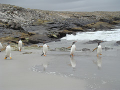 Description: http://farm4.static.flickr.com/3456/3212777435_15ae6aee44_m.jpg