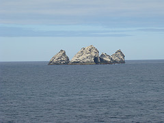 Description: http://farm4.static.flickr.com/3402/3213628862_cc9e541358_m.jpg