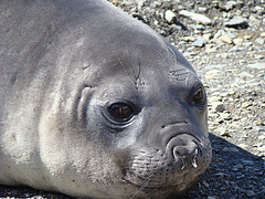 Description: http://farm4.static.flickr.com/3441/3213768896_aaaf83ee5f_m.jpg