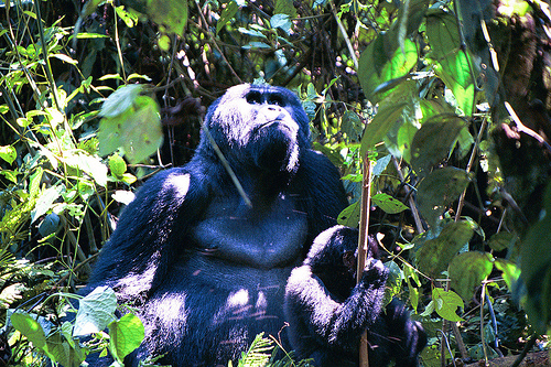 Description: Description: Description: Description: Pic5