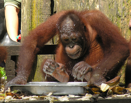 Description: Description: Description: Description: Pic3