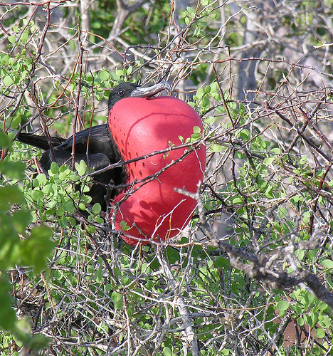 Description: Description: Description: Description: Pic4