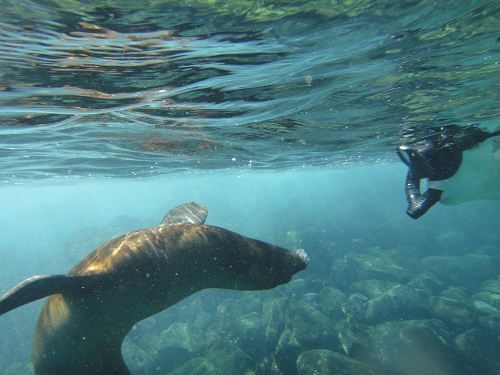 Description: Description: Description: Description: CybershotTX5441.jpg