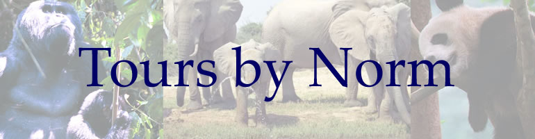 /Users/SusanDailey/Documents/Apple WEB Files/toursbynorm_header.jpg